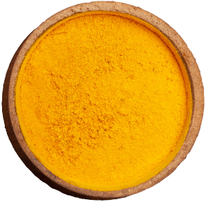 Masala Raaj Ground Spices