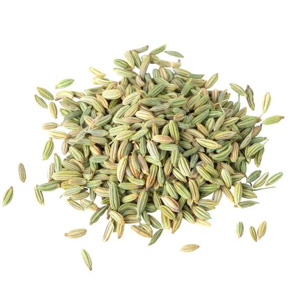 Fennel Seeds